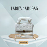 Ladies Handbag Article 9