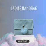 Ladies Small Handbag Article